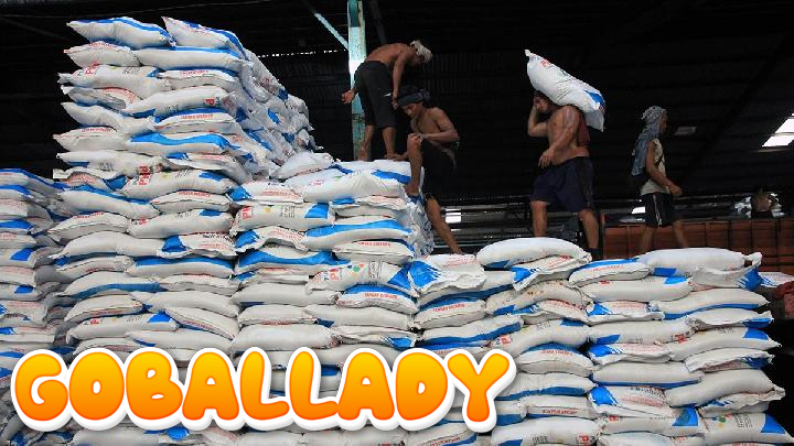 Bos Pupuk Indonesia Pastikan Distribusi Pupuk Tak Libur Selama Lebaran 2025