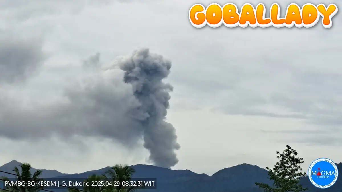 Gunung Dukono Erupsi, Kolom Abu Capai 1.100 Meter, Waspada Radius Bahaya Kawah Malupang Warirang