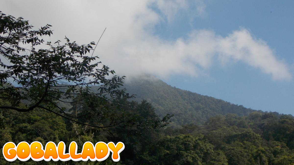 Misteri Gunung Doro Dindi: Pendakian Sehari Menuju Puncak yang Jarang Terjamah